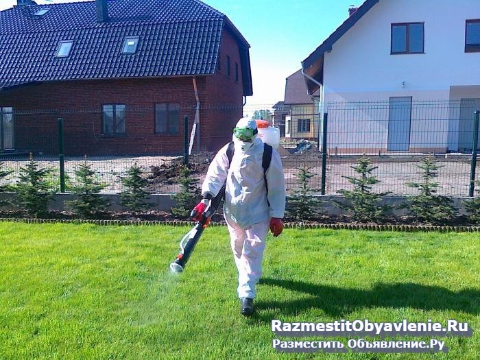 Акарицидная обработка борьба клещи комары Истра изображение 3