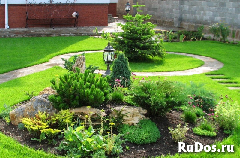 Расчистка участков, газон под ключ фотка