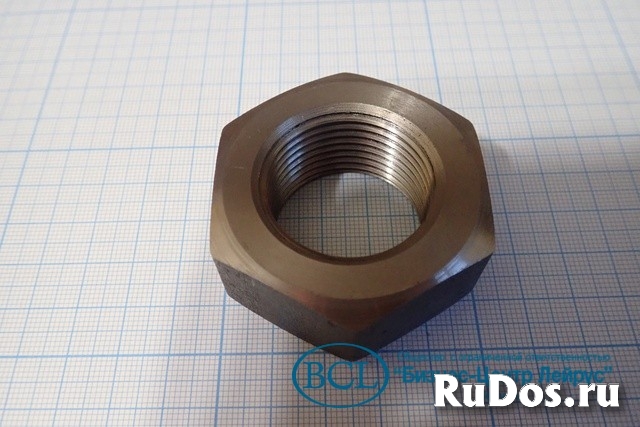 Гайка винта фильеры Evolution 50000569 Ecrou 1"G пресс гранулятор фотка