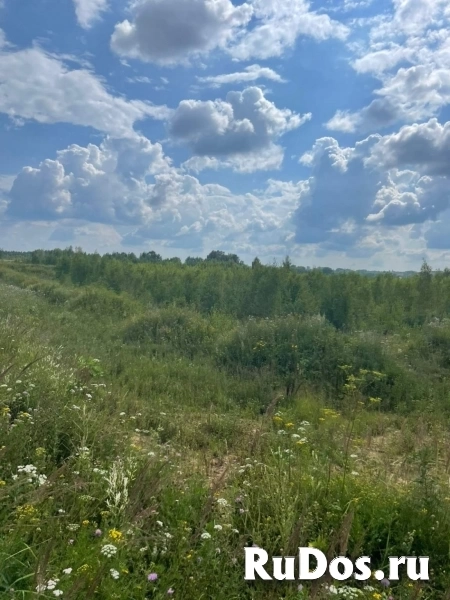 Продам коммерческую недвижимость 501 сот изображение 5