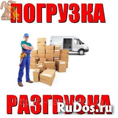 Незаменимые грузчики фото