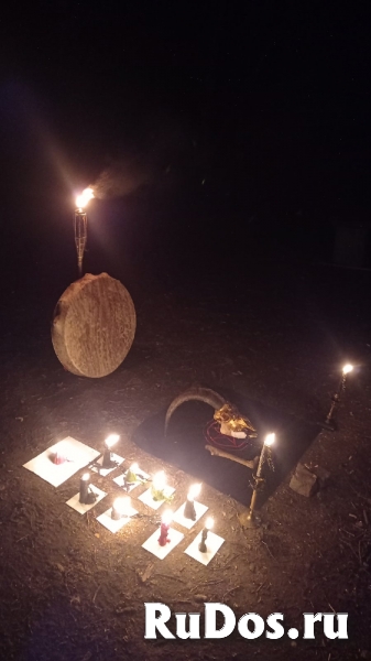 Удивительные способности и знания у Александра Богдановича Литвин изображение 4