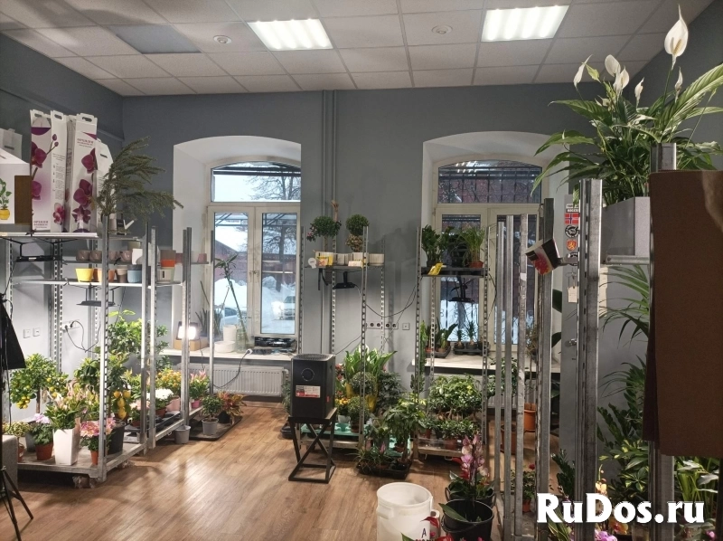 Сдам коммерческую недвижимость 51.5 м2 фотка