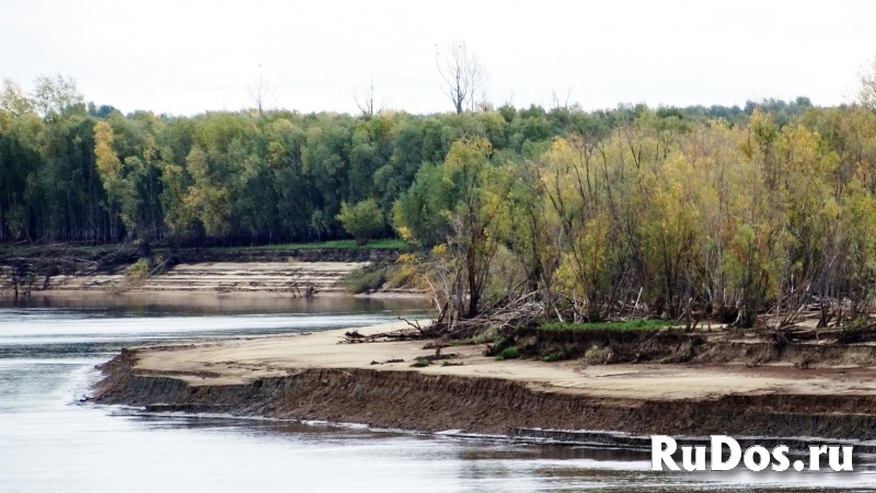Остров 61 га в Оби фотка