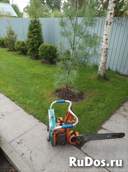 продам бензопилу фото