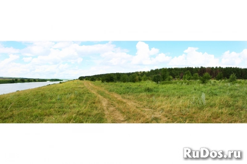 Инвестпроект - Земля в лесу у реки Дон под комплексную застройку изображение 5