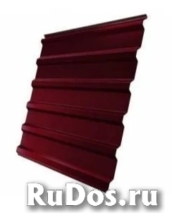 Пpoфнаcтил C-20 (пpoфлист) изображение 5