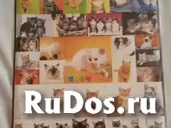 для книг, учебников изображение 4