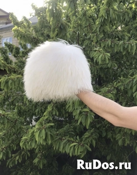 Папаха фото