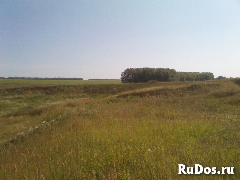 Продам Земельный участок 27 Га (собственность) изображение 5