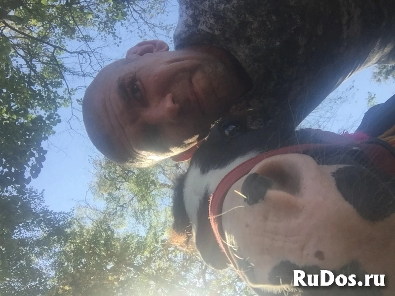 Познакомлюсь с девушкой от 35 лет фотка