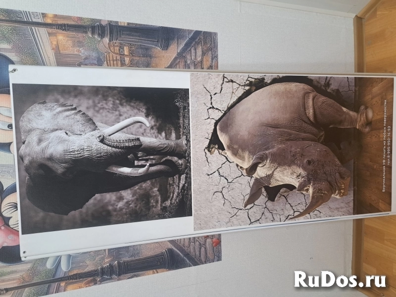 Вертикальная УФ печать на любых поверхностях,роспись стен. изображение 3