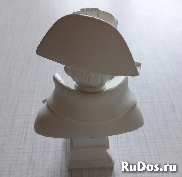 Бюст Наполеона фотка