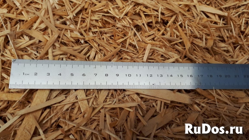 Топливная щепа береза для котла и печи фото