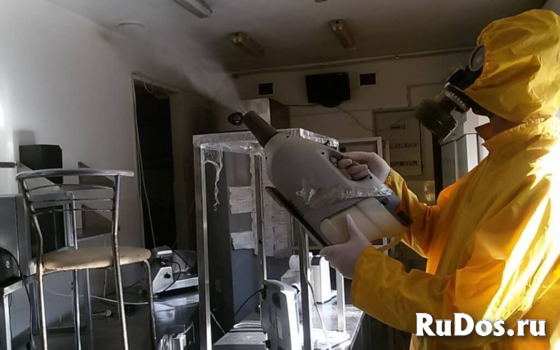 Уничтожение клопов и тараканов СЭС фотка