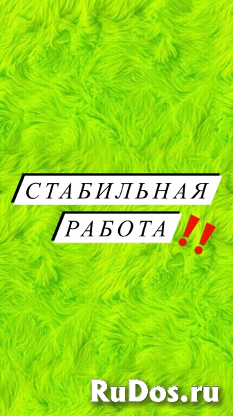 Помощник экономиста фото