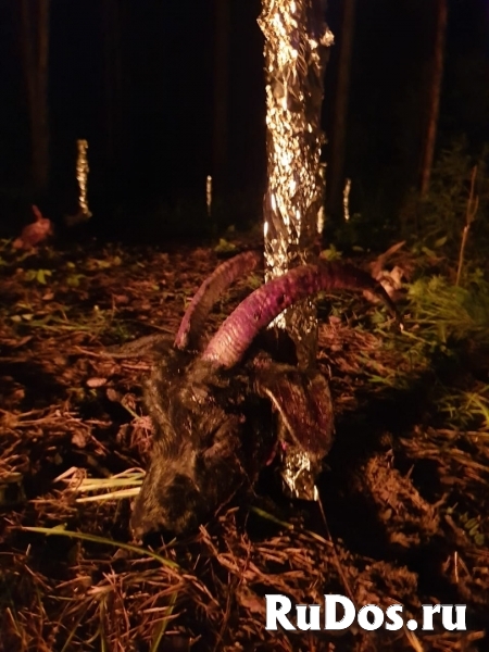 Сильный приворот,порча на смерть, денежная магия фотка