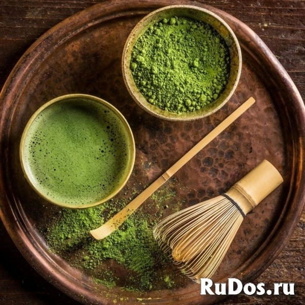 , купить растения фото