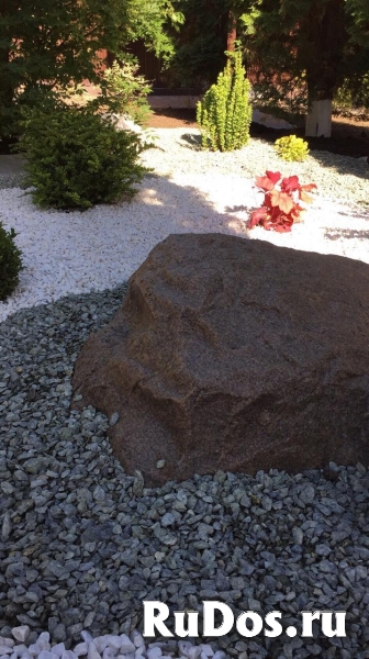 Расчистка участков, газон под ключ изображение 3