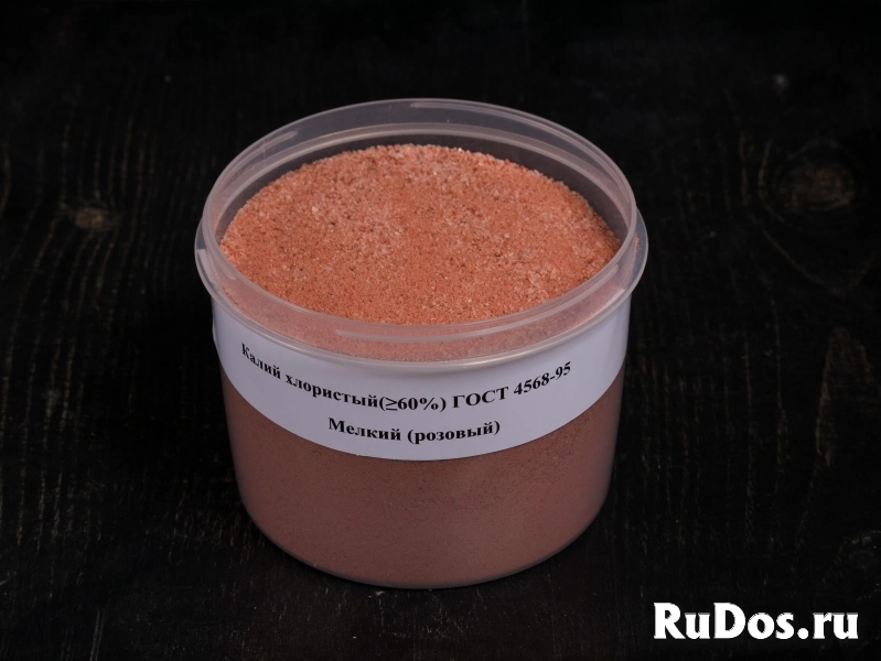 , купить растения фото