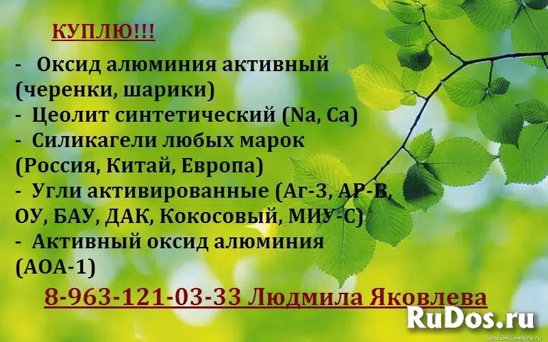 Гипохлорит кальция и хлорамин Б изображение 7