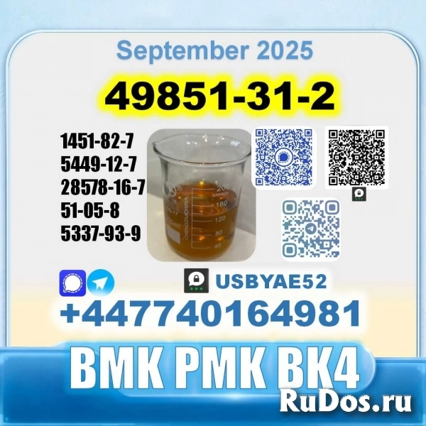 49851-31-2 2-Bromo-1-Phenyl-Pentan-1-One 2b4m PMK Source factory изображение 5