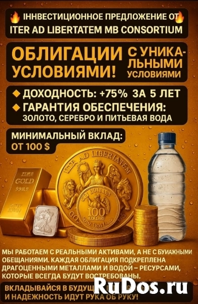 Инвестиционное предложение от ITER AD LIBERTATEM MB CONSORTIUM изображение 4