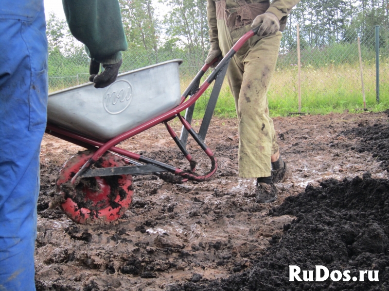 Разнорабочие Землекопы фотка