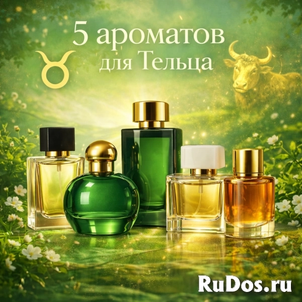 test изображение 12