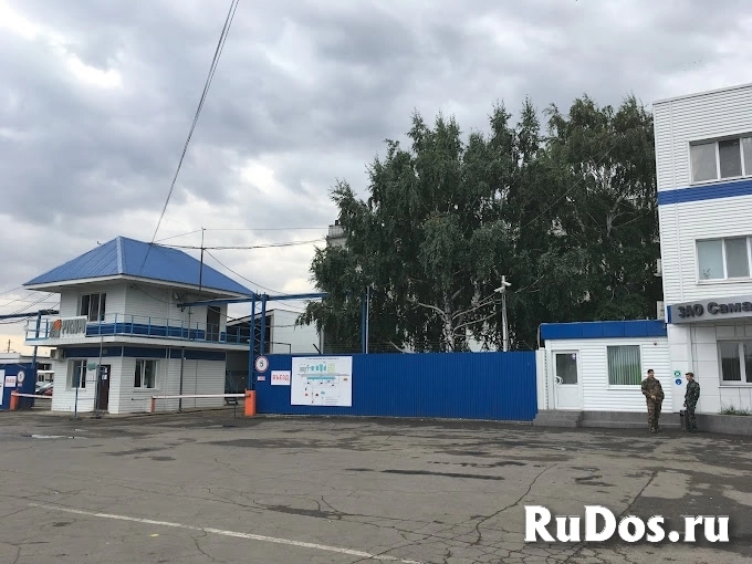 Высококачественное подсолнечное масло оптом от производителя изображение 5