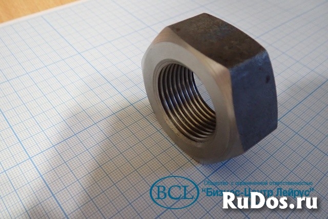 Гайка винта фильеры Evolution 50000569 Ecrou 1"G пресс гранулятор изображение 3