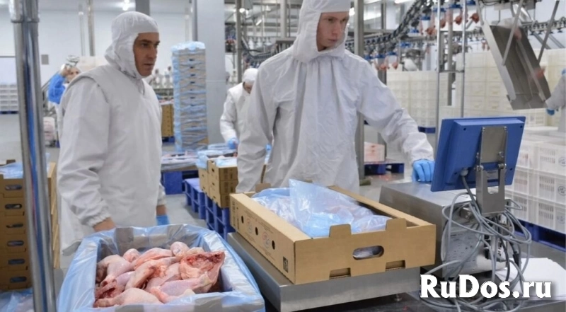 Операторы погрузчика на мясном производстве вахта фотка