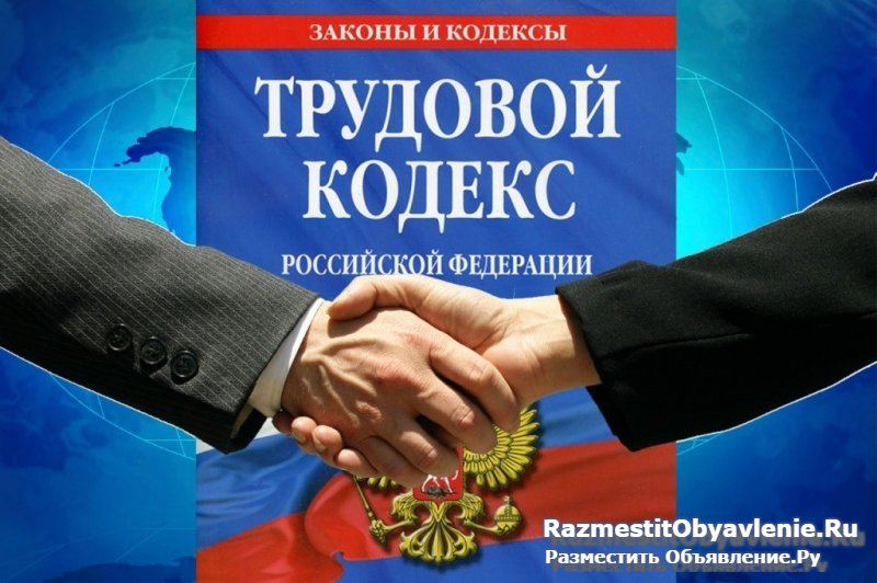 Опытный адвокат по трудовым спорам. фото