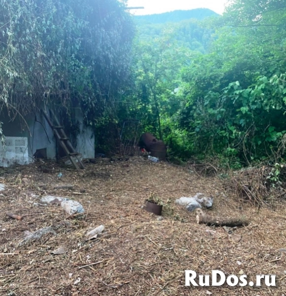 Продам земельный участок 765 м2 в Сочи. изображение 4