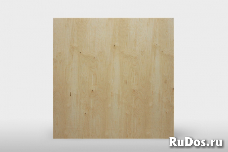 Фанера опт изображение 3