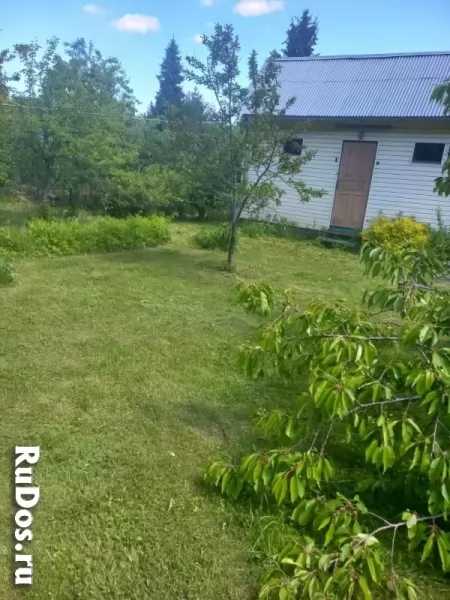 Продам ухоженный участок правильной формы изображение 7