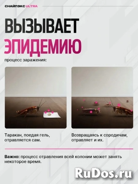 Средство от тараканов и муравьев эффективный мощный гель-шприц Снайпэкс ULTRA изображение 3