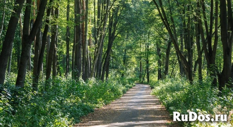 Продам коммерческую недвижимость 6.5 м2 изображение 7