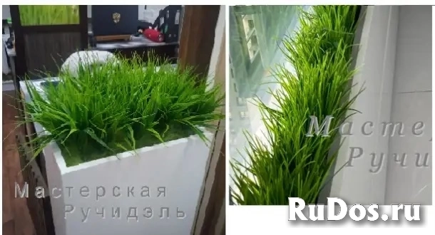 Искусственные растения для офиса, фито-композиции на заказ изображение 4