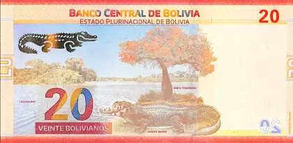 Банкнота Боливии фотка