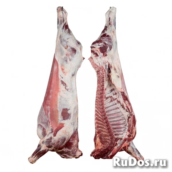 Производство и продажа оптом мяса говядины, мяса свинины и мяса п изображение 4