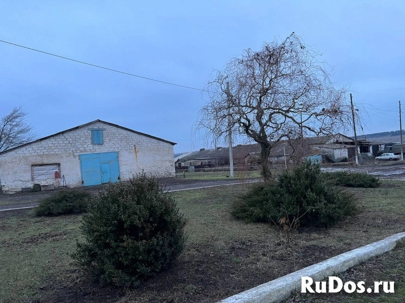 Агрохозяйство 4500 м.кв,Старобешево изображение 3