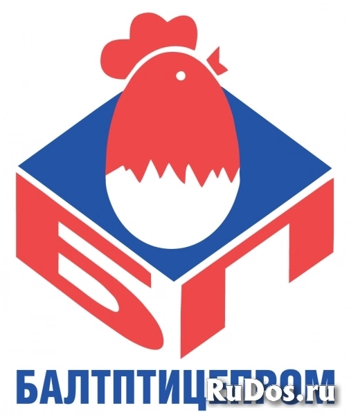 Дворник/подсобный рабочий фото