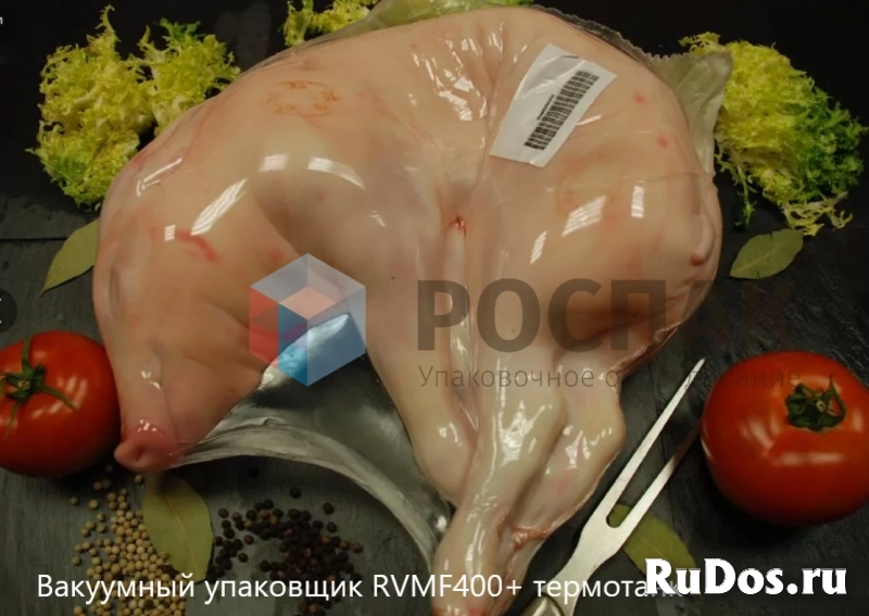 Рыбный вакуумный упаковщик RVM-400 ROSPAK изображение 10