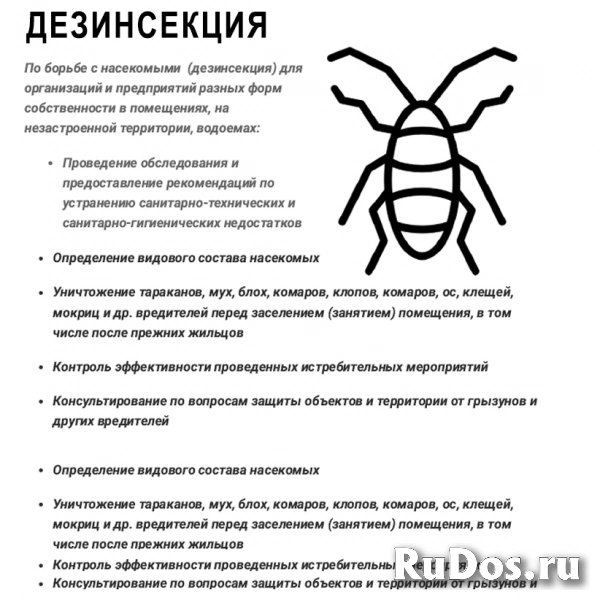 Служба дезинфекции «УМКа» - Дезинсекция от насекомых фото