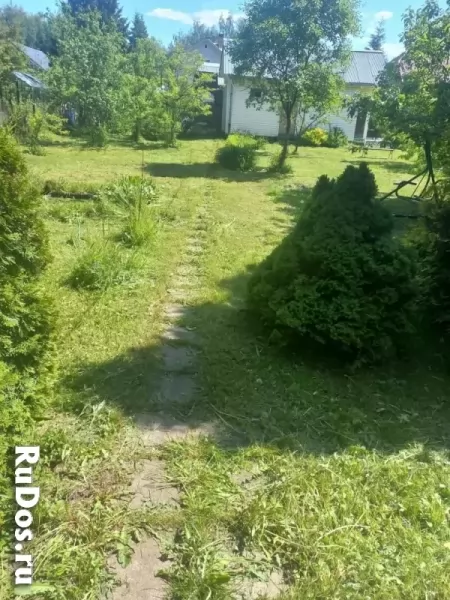 Продам ухоженный участок правильной формы изображение 4