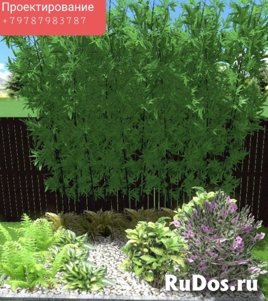 Консультации ландшафтного дизайнера фотка