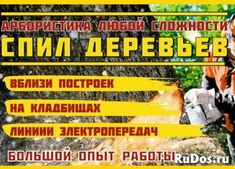 Благоустройство территорий в Воронеже расчистка поросли изображение 4