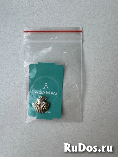 Кулон подвеска ракушка Адамас серебро позолота украшение бижутерия серебряный украшения амулет талисман мода топ серебристый фотка