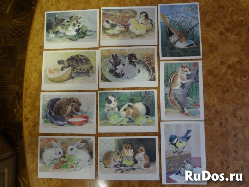 Открытки разные советские изображение 7